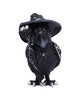Coven Keepers (Replacement Cats 12pcs)