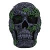 Aged Pentagram Skull 18.8cm