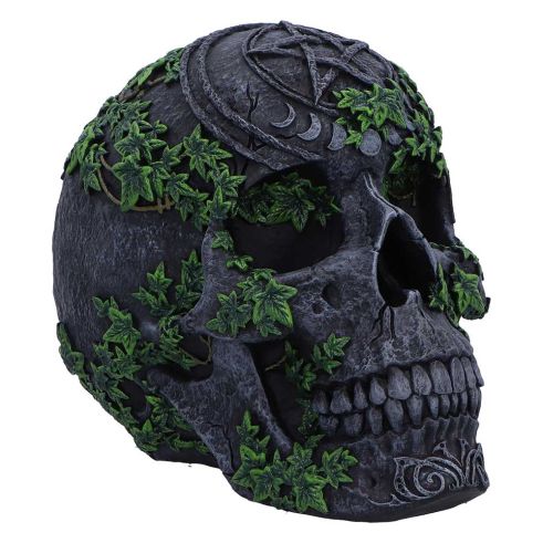 Aged Pentagram Skull 18.8cm