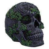 Aged Pentagram Skull 18.8cm