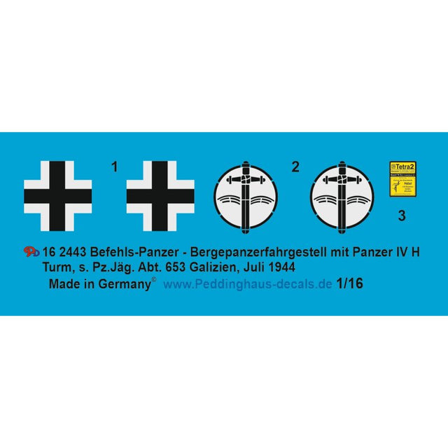 Befehls-Panzer Panther /Panzer IV Hybrid s. Pz. Jäg Abt 653 Galizien