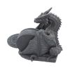 Dragons Lair Black Dragon Coaster Set