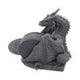 Dragons Lair Black Dragon Coaster Set