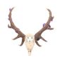 Antlers of Eden Floral Decorated Animal Deer Skull