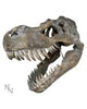 Dinosaur World (Display Stand with 36pcs) Decorative Resin Figurine Display