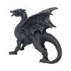 Nemesis Now Obsidian Dragon Watcher 31cm – billede 2