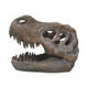 Freestanding Tyrannosaurus Rex Skull Figurine Ornament
