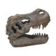 Freestanding Tyrannosaurus Rex Skull Figurine Ornament
