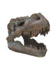 Metallic Tyrannosaurus Rex Head Trinket Dish