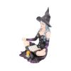Aradia The Witch And Her Grimoire 14cm