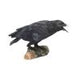 Raven's Call Figurine Gothic Bird Ornament