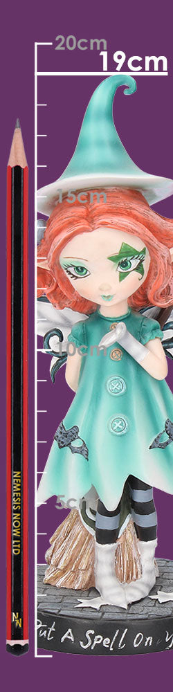 I'll Put A Spell On You Fairy With her Broomstick 19.5cm