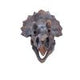Triceratops Dinosaur Skull 23cm