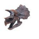 Triceratops Dinosaur Skull 23cm