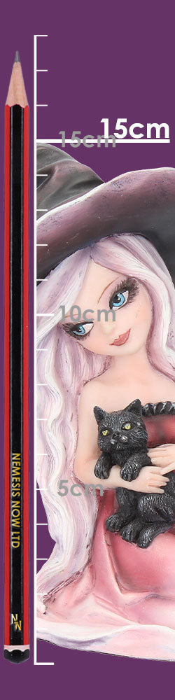 Rosa Figurine Witch Black Cat Ornament