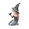 Regan Witch & Her Raven Figurine 15cm