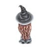 Regan Witch & Her Raven Figurine 15cm