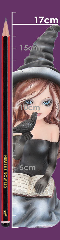 Regan Witch & Her Raven Figurine 15cm