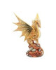 The Reflector Gothic Dragon Mirror