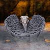 Edgar Allen Poe's Nevermore Raven Skull Trinket Holder Jewellery Dish