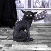 Spite (Small) 16cm