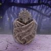 Bronze Dragon Snuggle Box