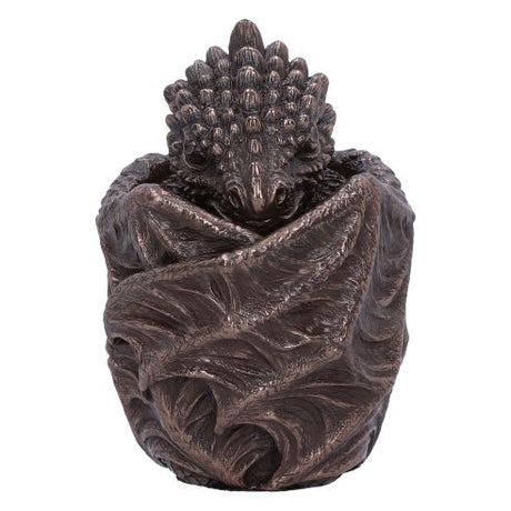 Bronze Dragon Snuggle Box
