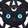 Feline Worship Cat Pentagram Wall Plaque 25.5cm