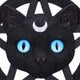 Feline Worship Cat Pentagram Wall Plaque 25.5cm
