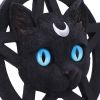 Feline Worship Cat Pentagram Wall Plaque 25.5cm