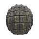 Reptillian Scale Skull 17cm