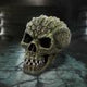 Reptillian Scale Skull 17cm