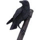 Raven on Hammer of the Gods 23cm
