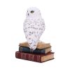 Library of Wisdom White Owl Figurine – billede 8