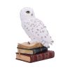 Library of Wisdom White Owl Figurine – billede 4