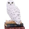 Library of Wisdom White Owl Figurine – billede 5