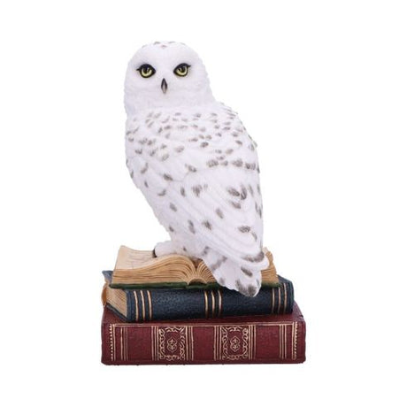 Library of Wisdom White Owl Figurine – billede 2