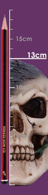 Soul Rose Ornamental Skull - Nemesis Now