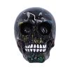 Electro (Medium) (Pack of 6) – billede 6