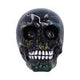 Electro (Medium) (Pack of 6)