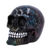 Electro (Medium) (Pack of 6) – billede 7