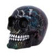 Electro (Medium) (Pack of 6)