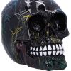 Electro (Medium) (Pack of 6) – billede 3