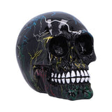 Electro (Medium) (Pack of 6)