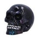 Electro (Small) (Pack of 6 )
