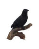 Flight of the Raven Wall Hanging Decoration