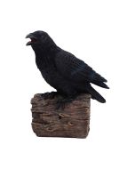 Watcher of the Veil Raven Wall Hanger