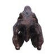Spinosaurus Skull Resin Replica