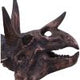 Triceratops Skull Resin Replica