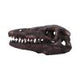 Archaeopteryx Skull Decorative Resin Replica